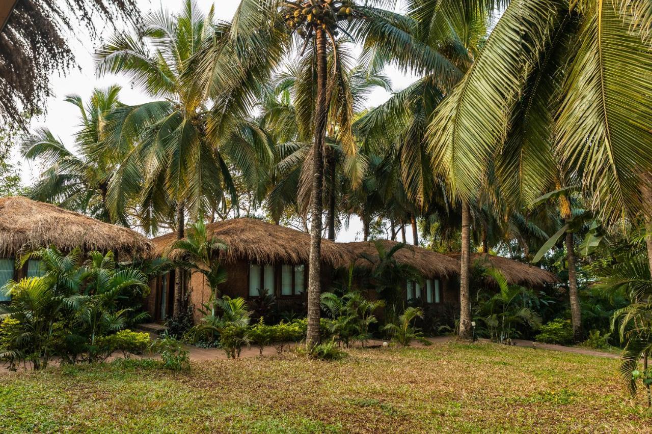 Anahata Retreat Beach Front Ashwem Goa مادريم المظهر الخارجي الصورة