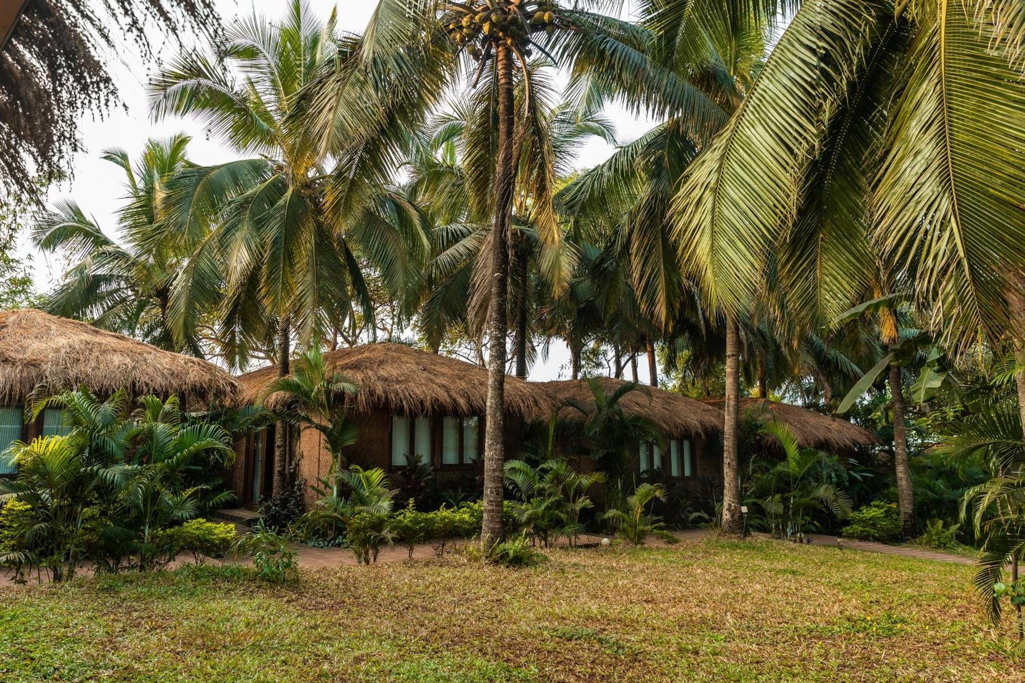 Anahata Retreat Beach Front Ashwem Goa مادريم المظهر الخارجي الصورة