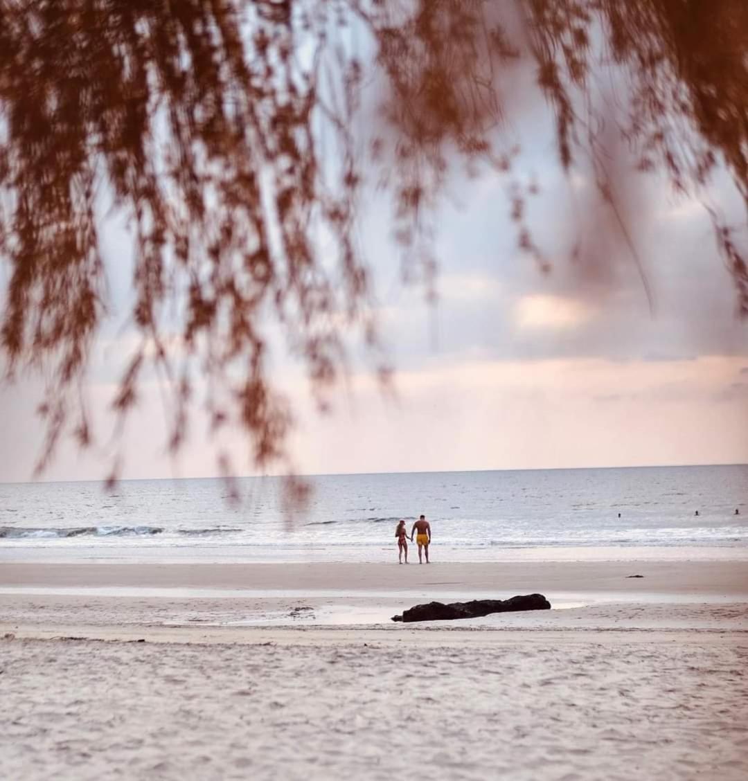 Anahata Retreat Beach Front Ashwem Goa مادريم المظهر الخارجي الصورة
